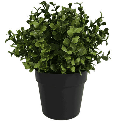 Small Potted Artificial Buxus Plant UV Resistant 20cm V637-DP1013001