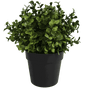 Small Potted Artificial Buxus Plant UV Resistant 20cm V637-DP1013001