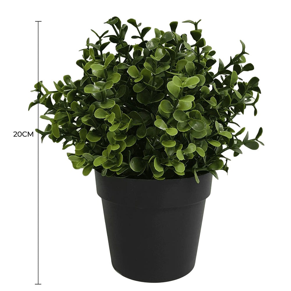 Small Potted Artificial Buxus Plant UV Resistant 20cm V637-DP1013001