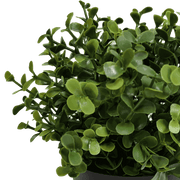 Small Potted Artificial Buxus Plant UV Resistant 20cm V637-DP1013001