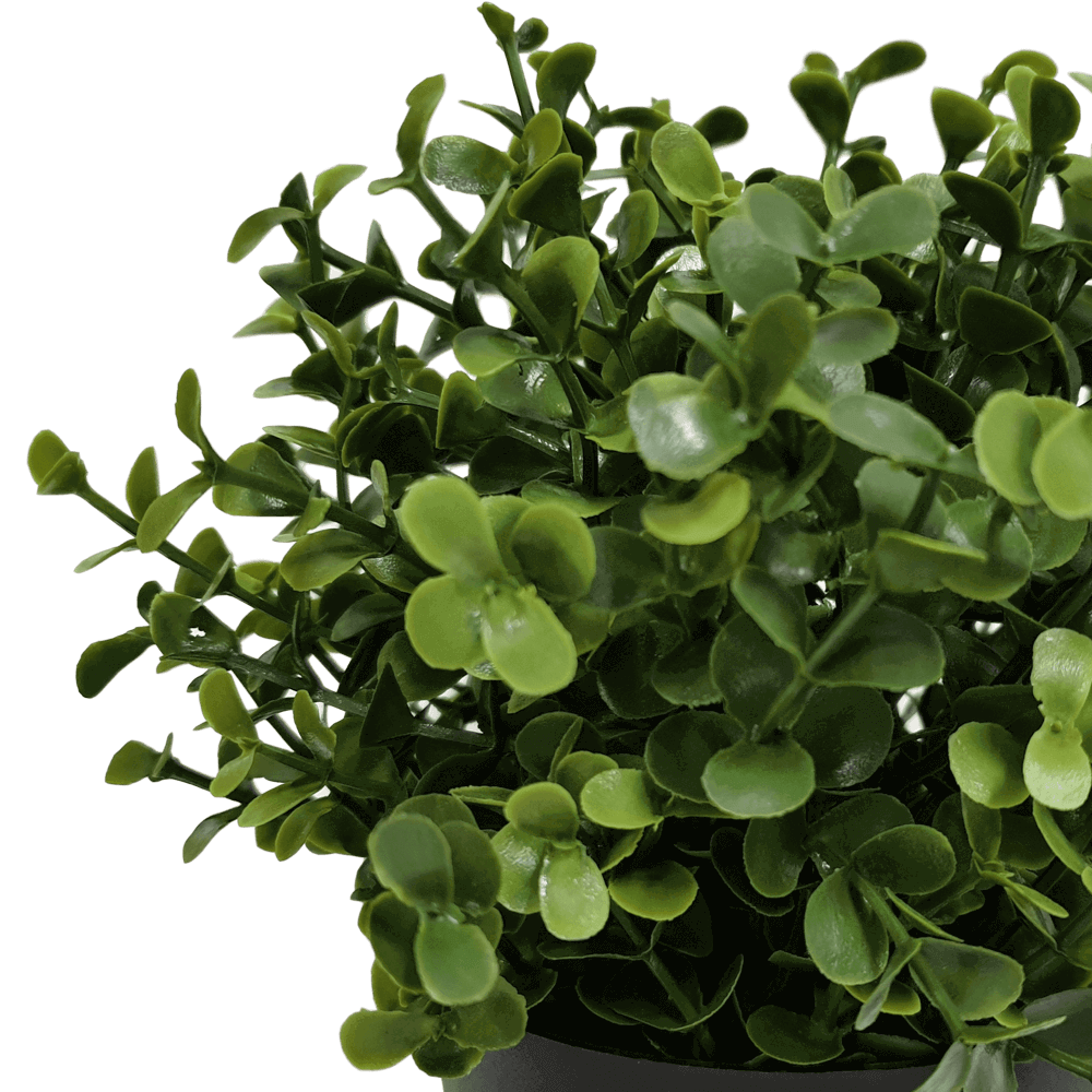 Small Potted Artificial Buxus Plant UV Resistant 20cm V637-DP1013001
