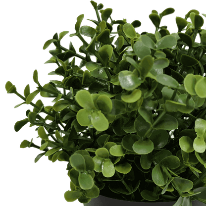 Small Potted Artificial Buxus Plant UV Resistant 20cm V637-DP1013001