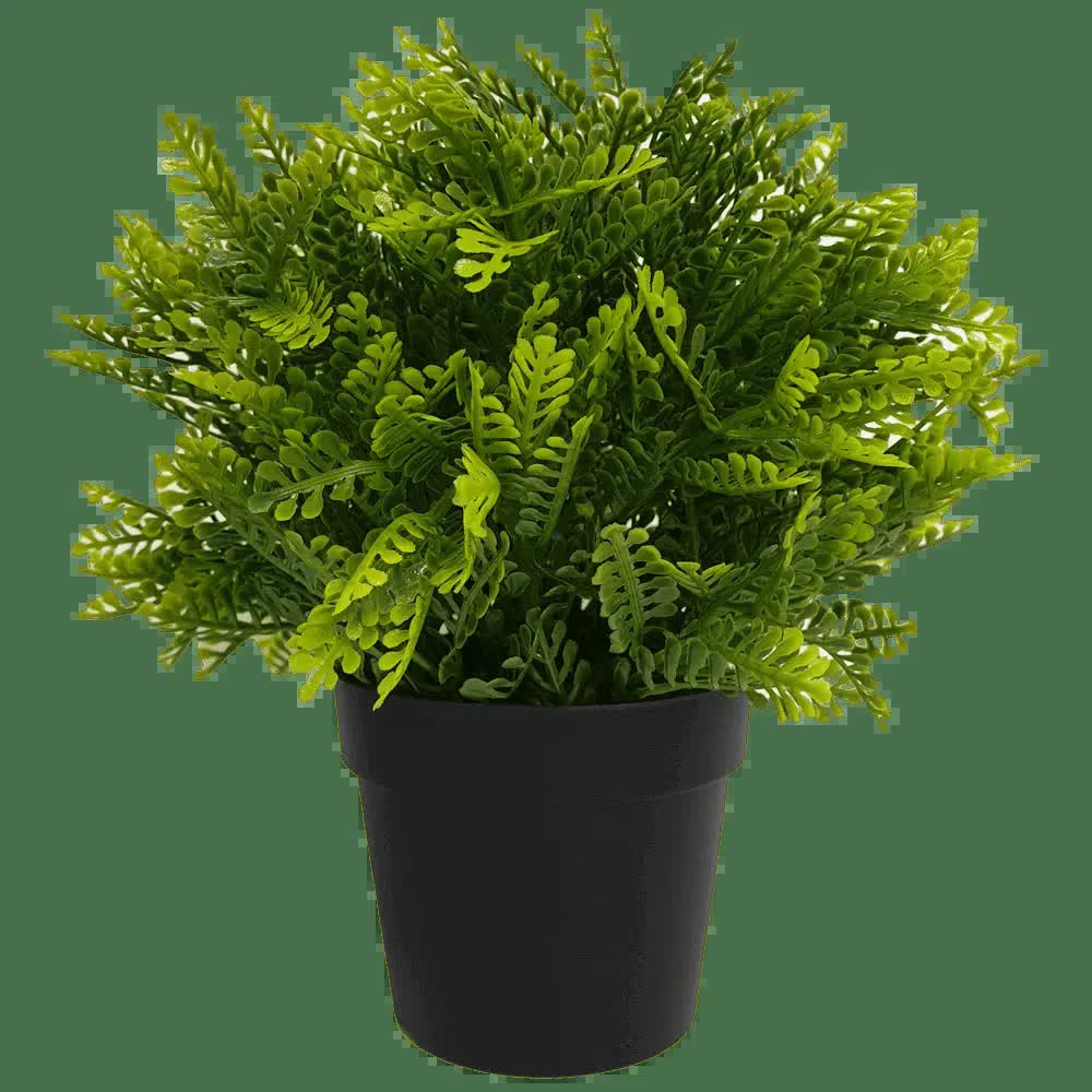 Small Potted Artificial Mimosa Fern UV Resistant 20cm V637-DP1013002