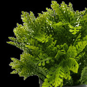 Small Potted Artificial Mimosa Fern UV Resistant 20cm V637-DP1013002