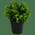 Small Potted Artificial Peperomia Plant UV Resistant 20cm V637-DP1013003