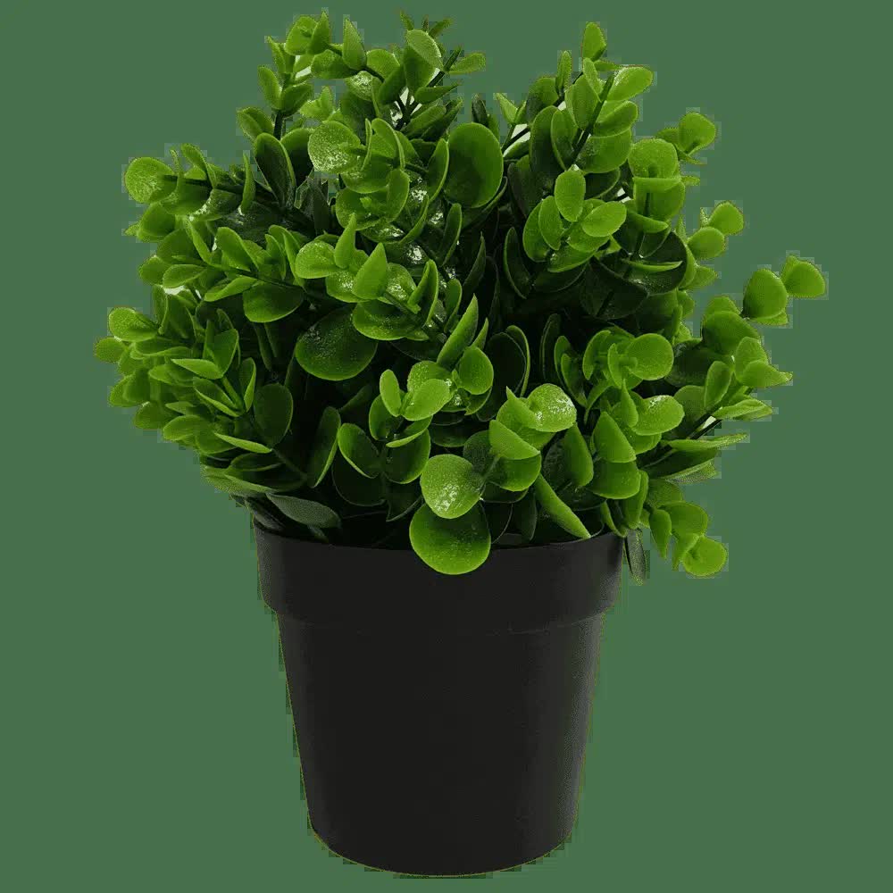 Small Potted Artificial Peperomia Plant UV Resistant 20cm V637-DP1013003