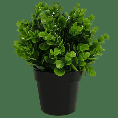 Small Potted Artificial Peperomia Plant UV Resistant 20cm V637-DP1013003