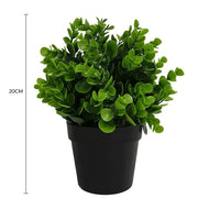 Small Potted Artificial Peperomia Plant UV Resistant 20cm V637-DP1013003
