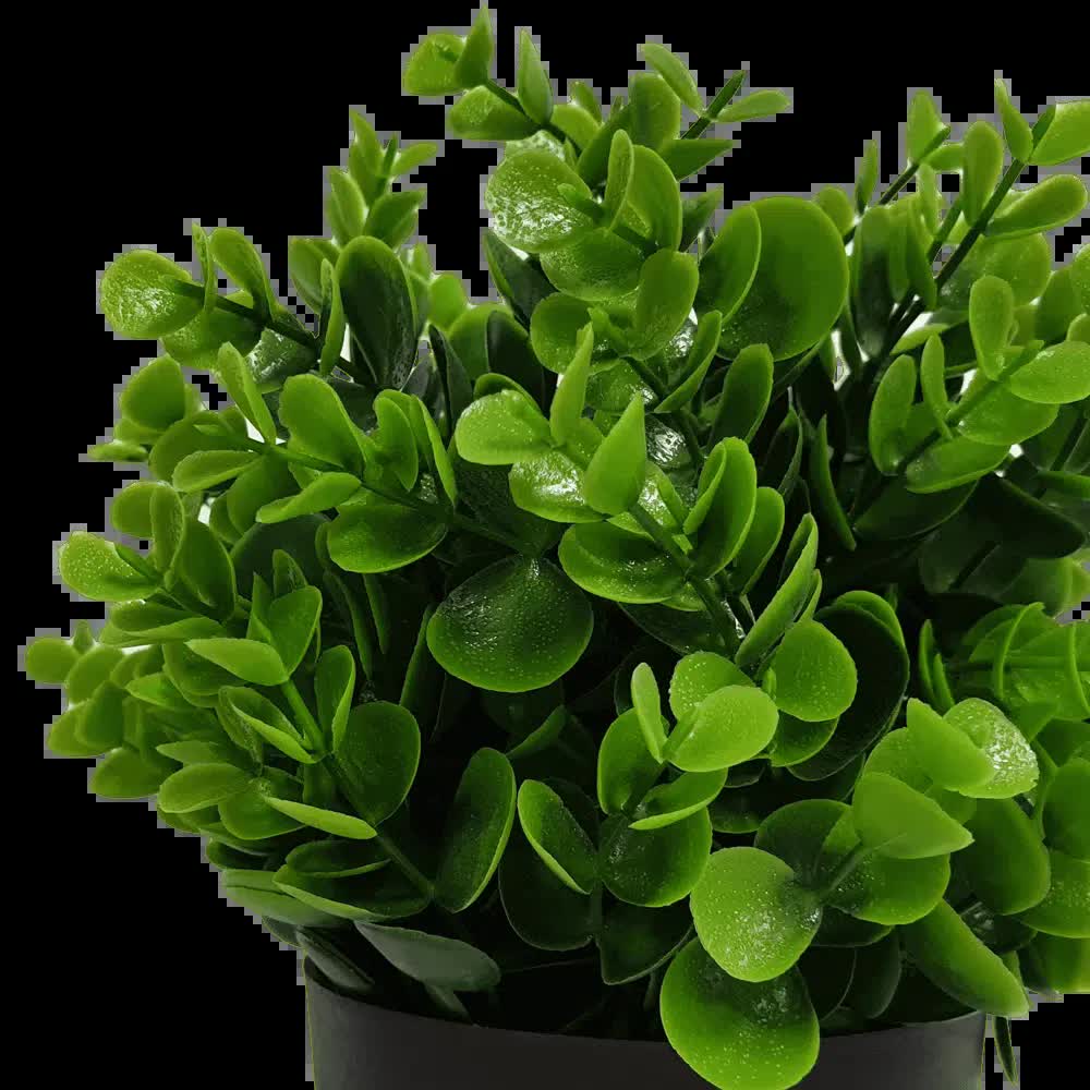 Small Potted Artificial Peperomia Plant UV Resistant 20cm V637-DP1013003