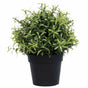 Small Potted Artificial Rosemary Herb Plant UV Resistant 20cm V637-DP1013081
