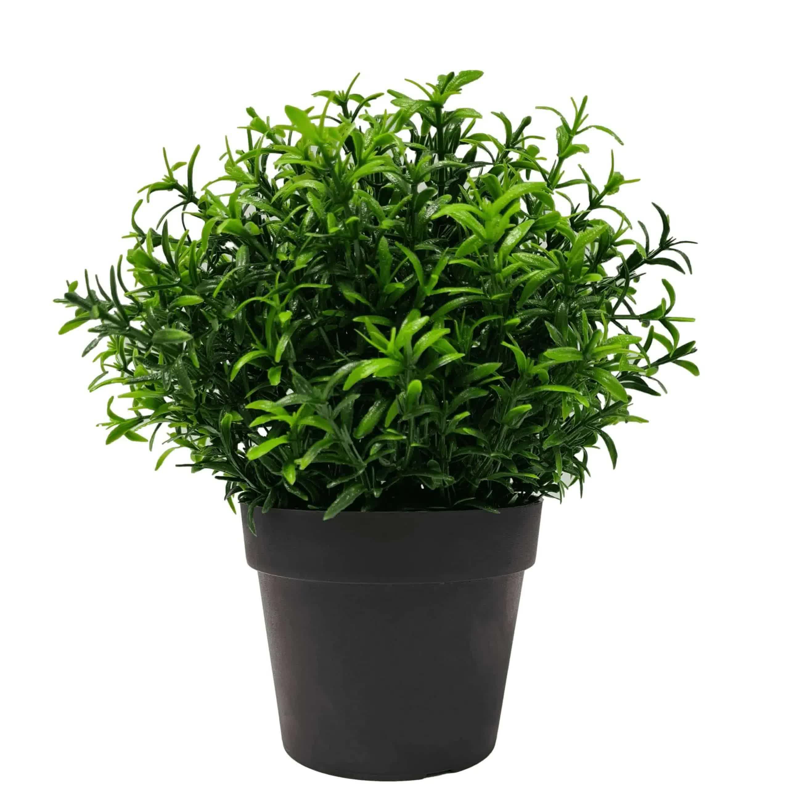 Small Potted Artificial Bright Rosemary Herb Plant UV Resistant 20cm V637-DP1013081B