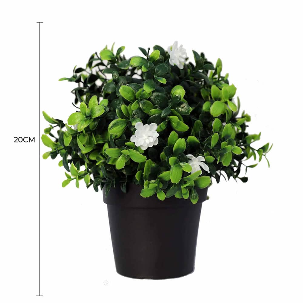 Small Potted Artificial Flowering Boxwood Plant UV Resistant 20cm V637-DP1013090