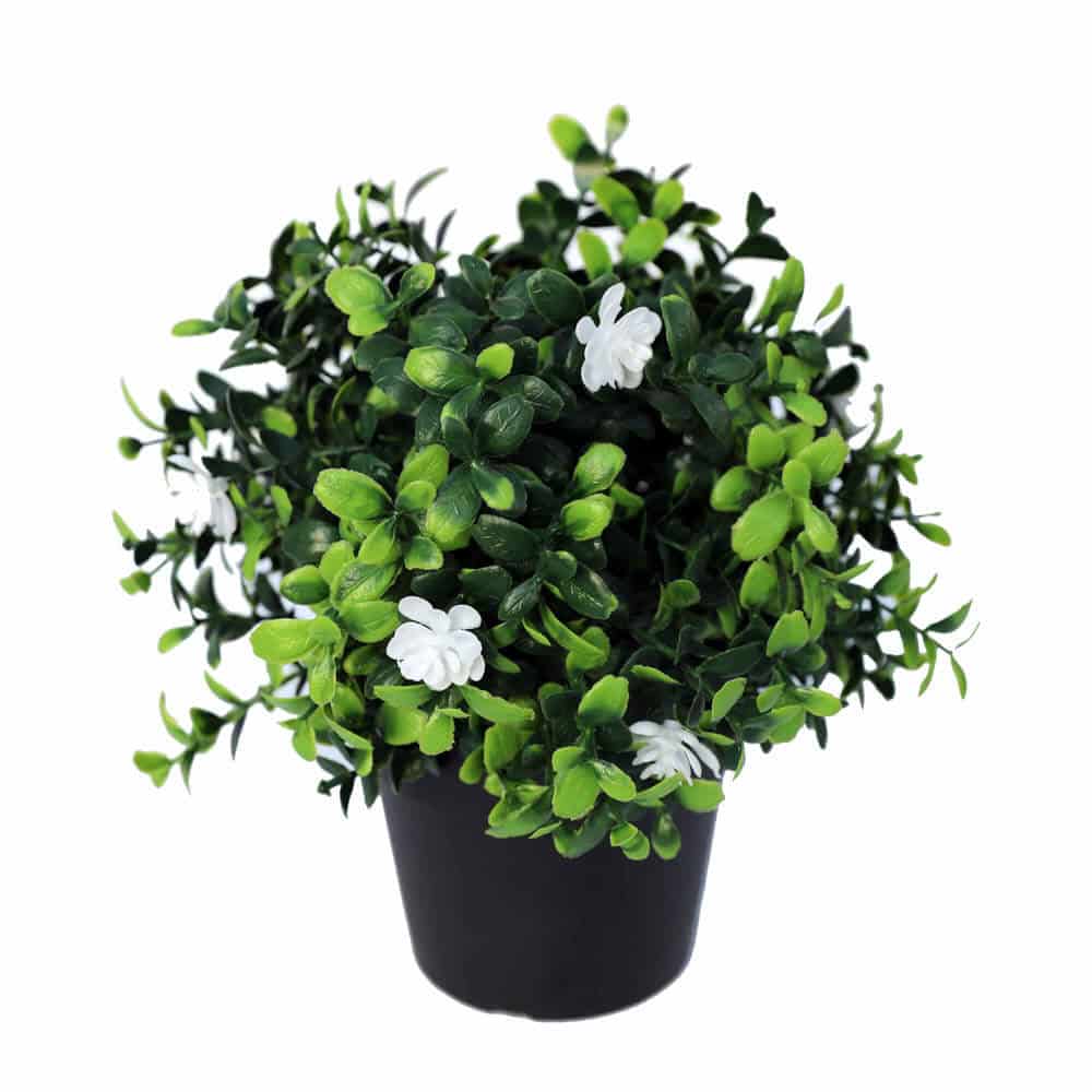 Small Potted Artificial Flowering Boxwood Plant UV Resistant 20cm V637-DP1013090