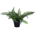 Small Potted Artificial Dark Green Fern Plant UV Resistant 20cm V637-DP1013094