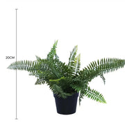 Small Potted Artificial Dark Green Fern Plant UV Resistant 20cm V637-DP1013094
