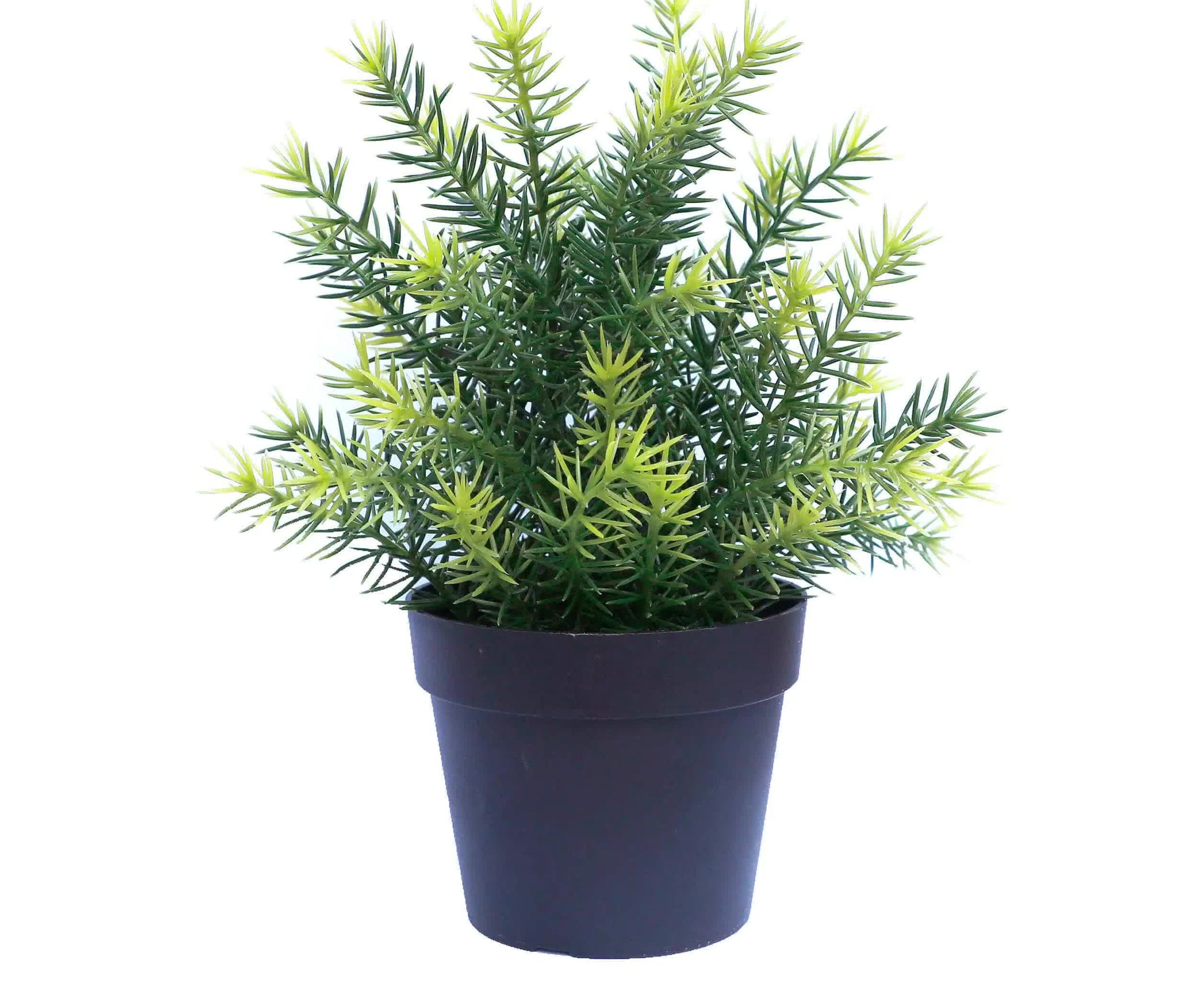 Small Potted Artificial Native Grass Plant UV Resistant 20cm V637-DP1013097
