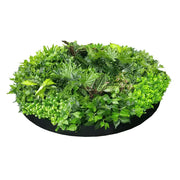 Artificial Green Wall Disc Art 150cm Dense Green Sensation (Onyx Black) V637-DP1013972B