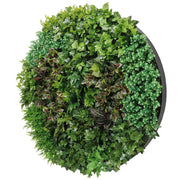 Artificial Green Wall Disc Art 150cm Dense Green Sensation (Onyx Black) V637-DP1013972B