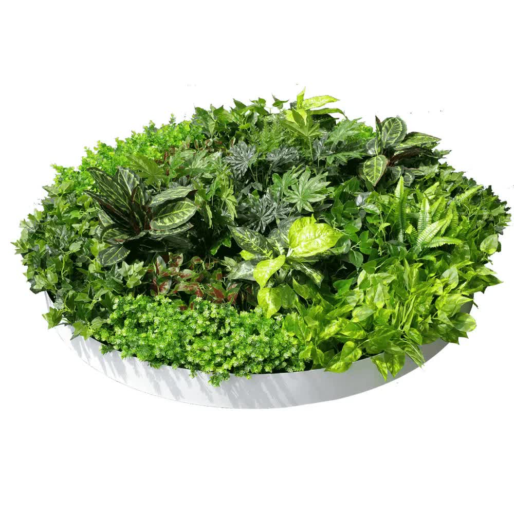 Artificial Green Wall Disc Art 150cm Dense Green Sensation (Fresh White) V637-DP1013972W