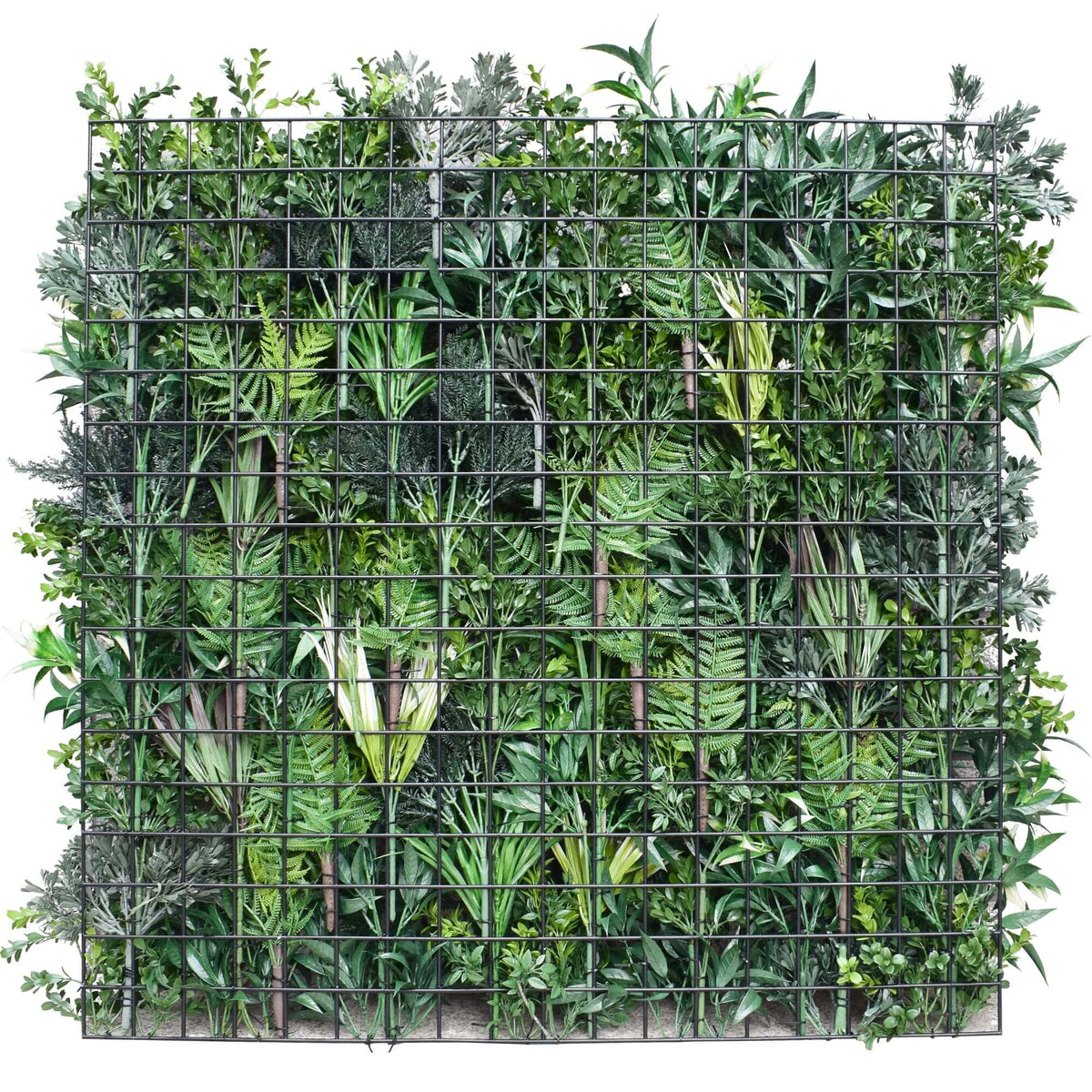 Green Forest Bespoke Commercial Grade Metal Backed Vertical Garden / Green Wall UV Resistant 1m x 1m Fire V637-DP1014112