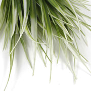 White Tipped Grass Stem UV Resistant 35cm V637-DP1014401