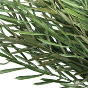 Native Tea Tree Stem UV Resistant 45cm V637-DP1014404