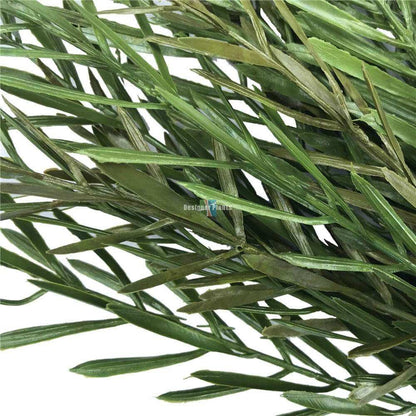 Native Tea Tree Stem UV Resistant 45cm V637-DP1014404