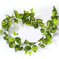 Mixed Yellow and Red Pothos Garland 190cm V637-DP1014500
