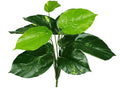 Lily Stem 32cm V637-DP1014509