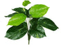 Lily Stem 32cm V637-DP1014509