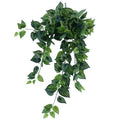 Bright Mixed Philodendron Garland Bush 100cm V637-DP1014515