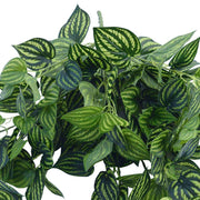 Bright Mixed Philodendron Garland Bush 100cm V637-DP1014515