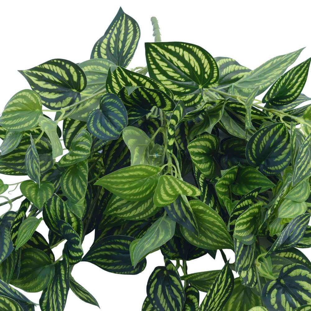 Bright Mixed Philodendron Garland Bush 100cm V637-DP1014515