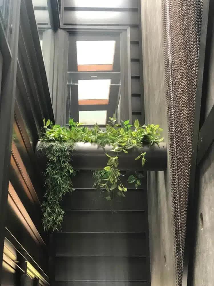 Mixed White and Green Hanging Philodendron Bush 80cm V637-DP1014518