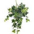 Mixed Green and White Tipped Ivy Bush 100cm V637-DP1014521