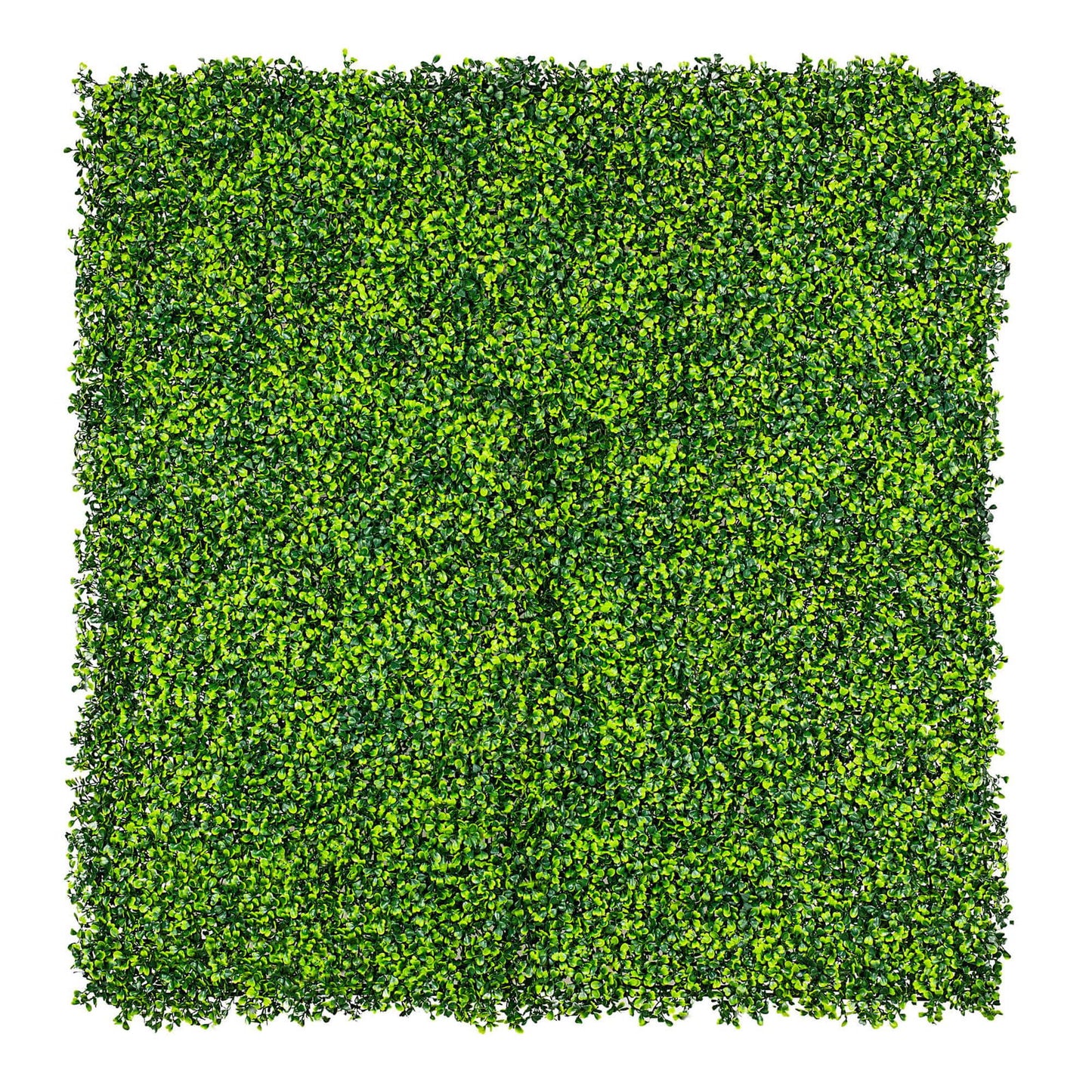 Mixed Boxwood Hedge Panels / Screens UV Resistant 1m X 1m V637-DP1014801