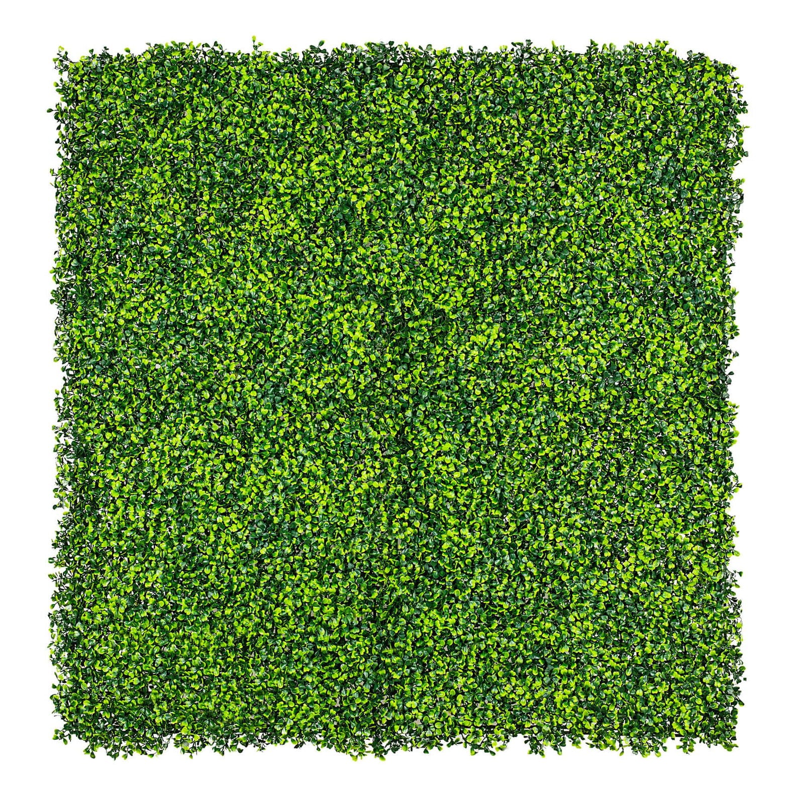 Mixed Boxwood Hedge Panels / Screens UV Resistant 1m X 1m V637-DP1014801