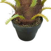 Artificial Phoenix Palm Tree 80cm V637-DP1016056