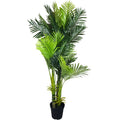 Multi Trunk Hawaii Palm 180cm V637-DP1016106
