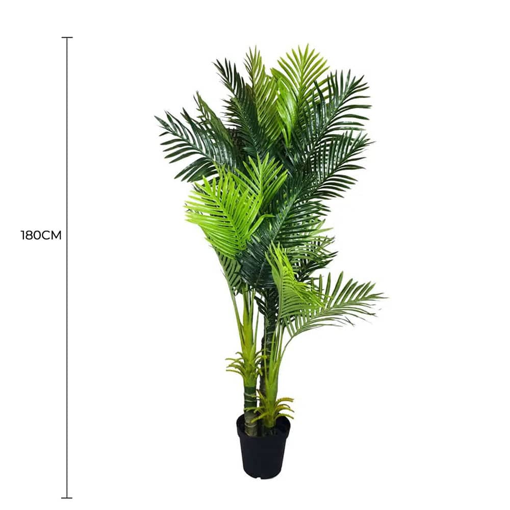 Multi Trunk Hawaii Palm 180cm V637-DP1016106