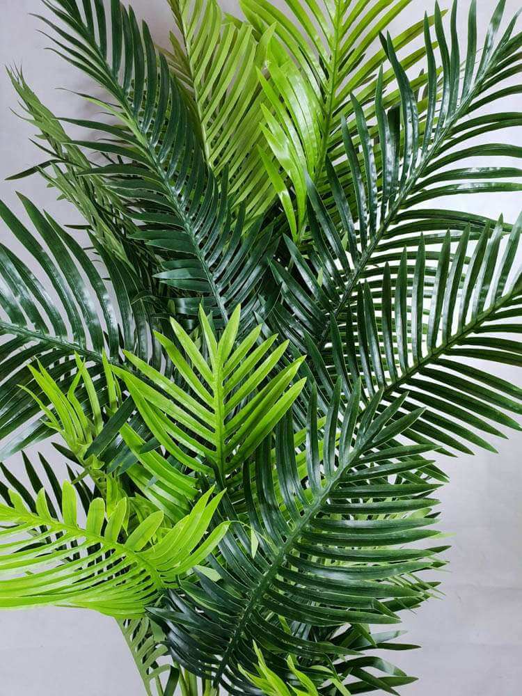 Multi Trunk Hawaii Palm 180cm V637-DP1016106
