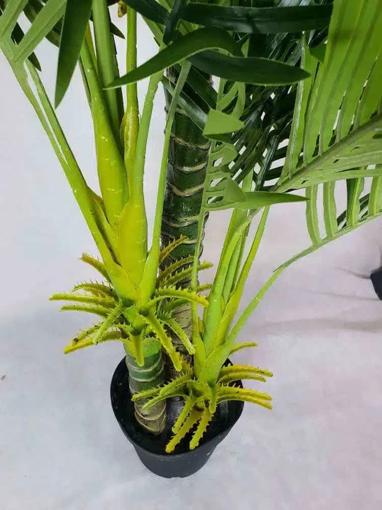 Multi Trunk Hawaii Palm 180cm V637-DP1016106