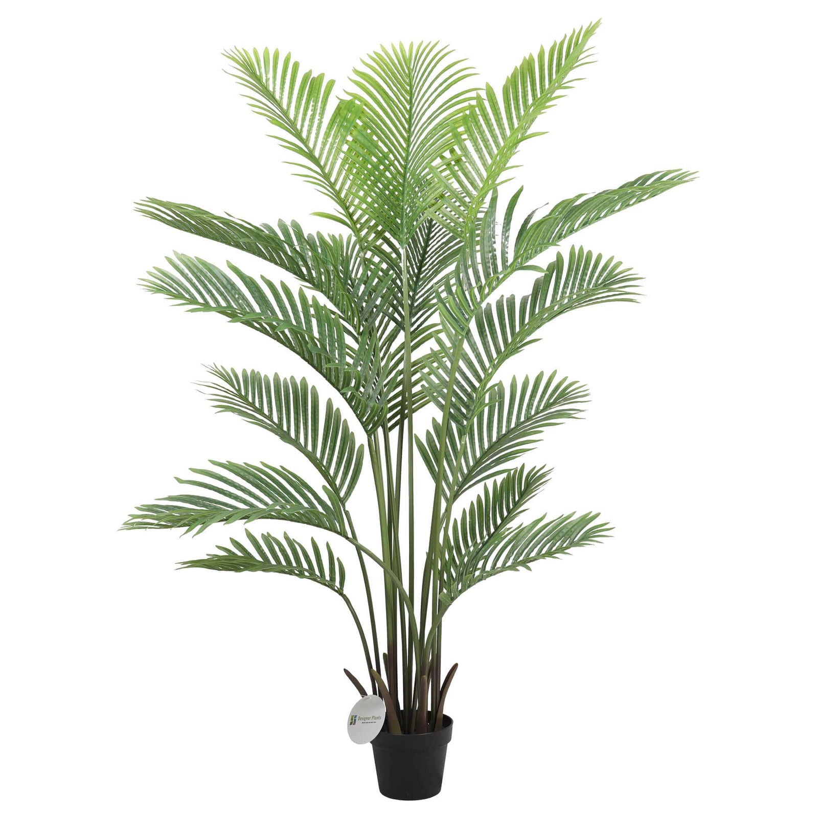 Premium Artificial Areca Palm Tree Real Touch 160cm V637-DP1016107N