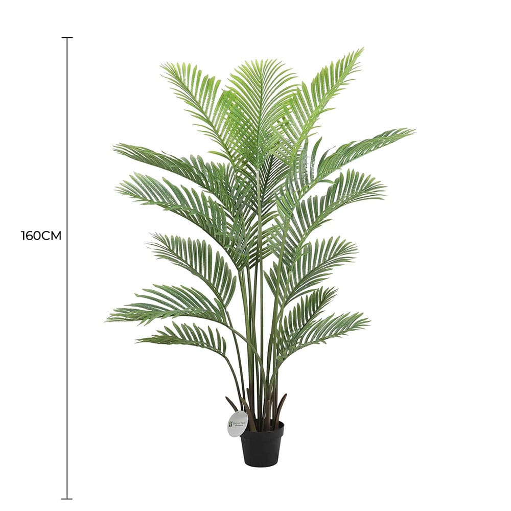Premium Artificial Areca Palm Tree Real Touch 160cm V637-DP1016107N