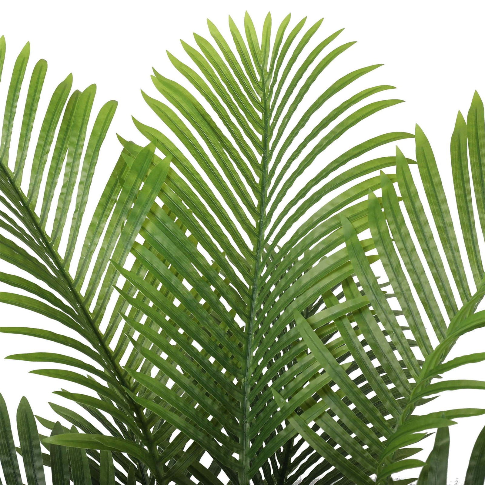 Premium Artificial Areca Palm Tree Real Touch 160cm V637-DP1016107N