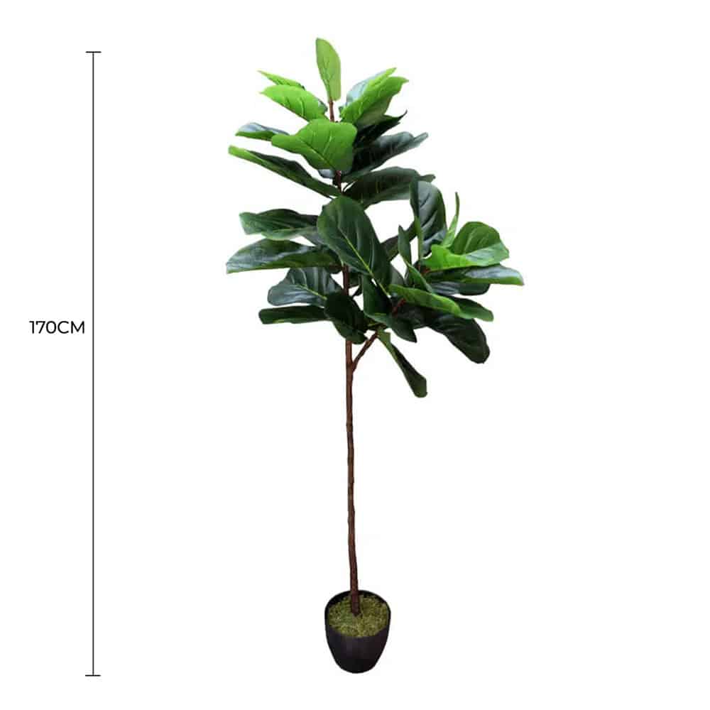 Tall Artificial Fiddle Leaf Fig 170cm V637-DP1016113