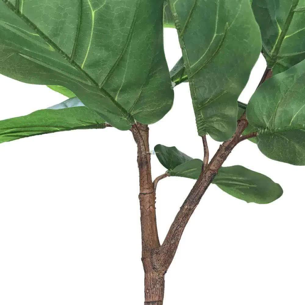 Tall Artificial Fiddle Leaf Fig 170cm V637-DP1016113