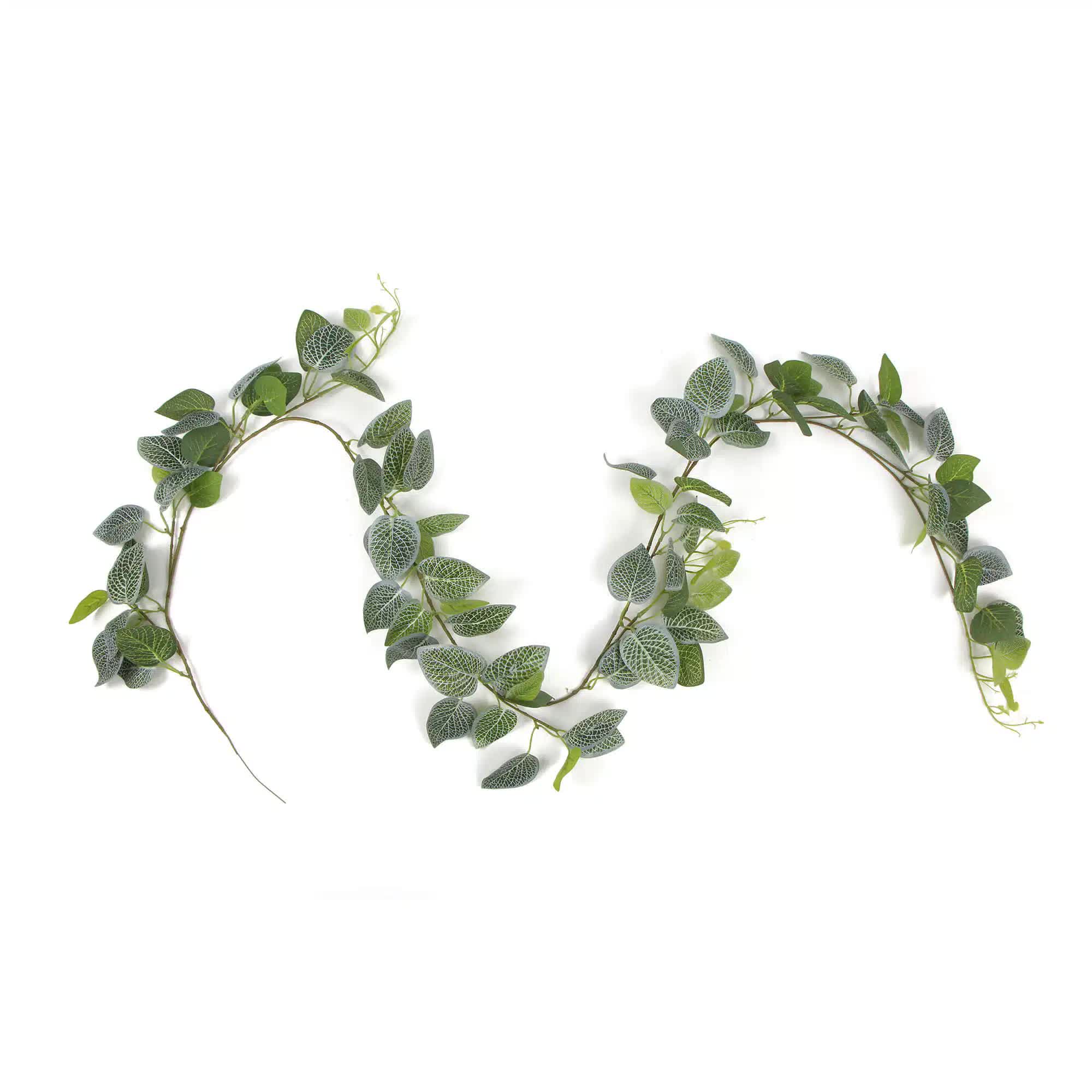 Artificial Fittonia Garland 190cm V637-DP1016146