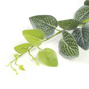 Artificial Fittonia Garland 190cm V637-DP1016146