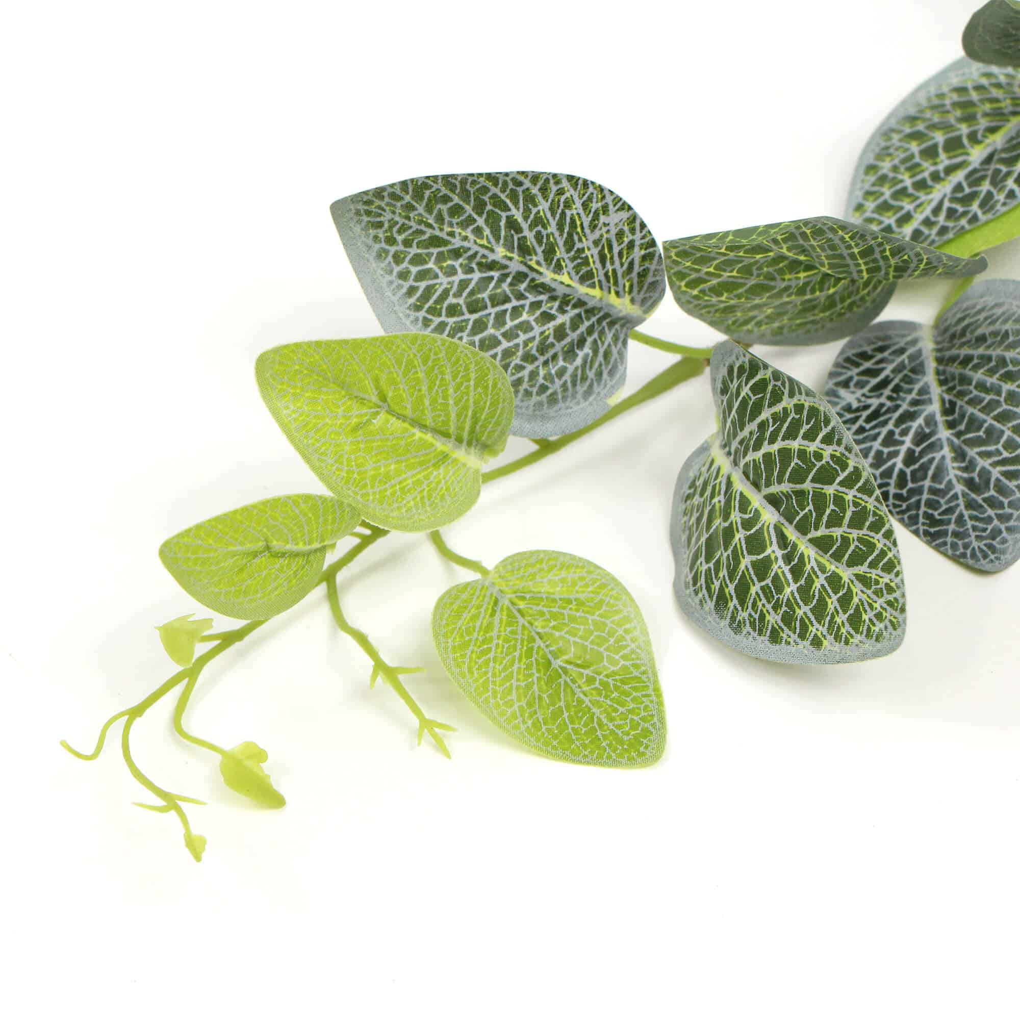 Artificial Fittonia Garland 190cm V637-DP1016146